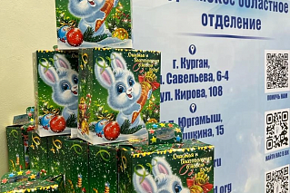Курганское областное отделение «Российский детский фонд» подарил подарки ребятам на елке в Доме народного творчества